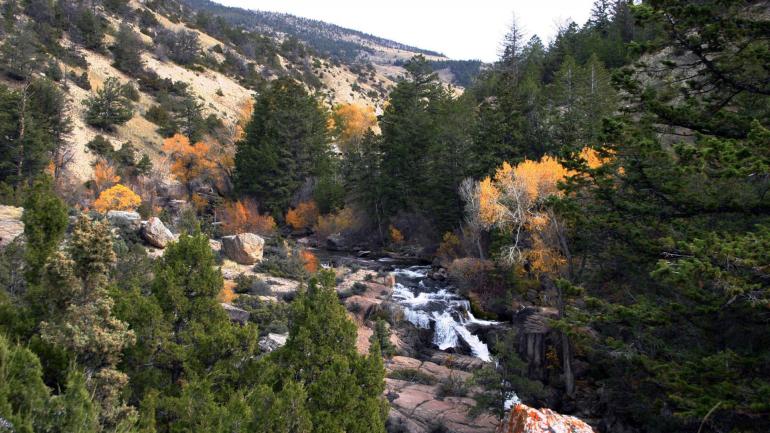 Shell Falls Interpretive Site in Wyoming’s Bighorn National Forest Shell Falls Interpretive Site in Wyoming’s Bighorn National Forest