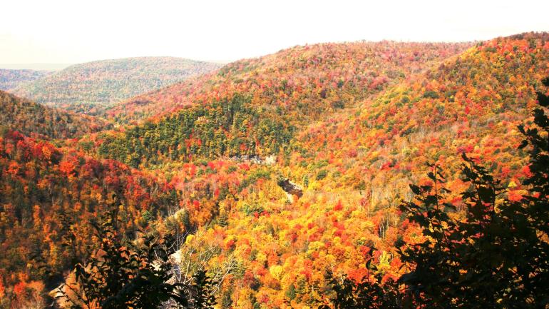 Fall foliage color the Endless Mountains of Pennsylvania Fall foliage color the Endless Mountains of Pennsylvania
