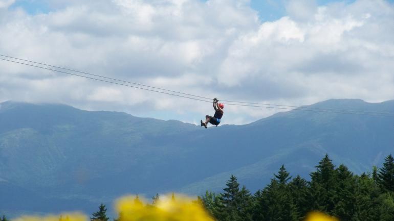 En lo alto de las copas de los árboles en un recorrido de Bretton Woods Canopy Tour En lo alto de las copas de los árboles en un recorrido de Bretton Woods Canopy Tour