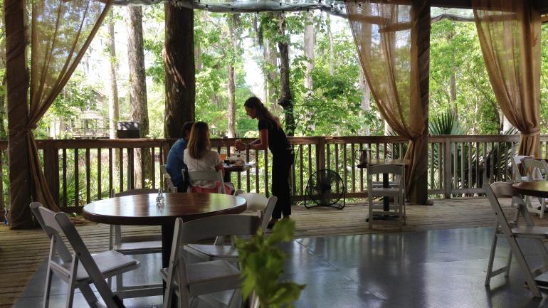 Dining in the treetops at Palmettos on the Bayou Dining in the treetops at Palmettos on the Bayou
