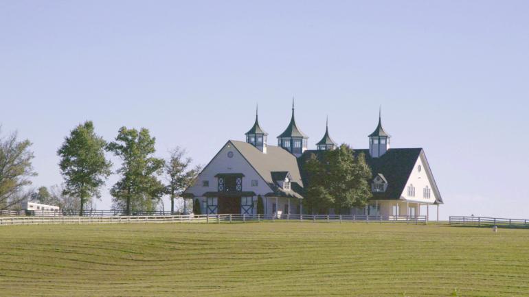 A rolling horse pasture in Lexington, Kentucky A rolling horse pasture in Lexington, Kentucky