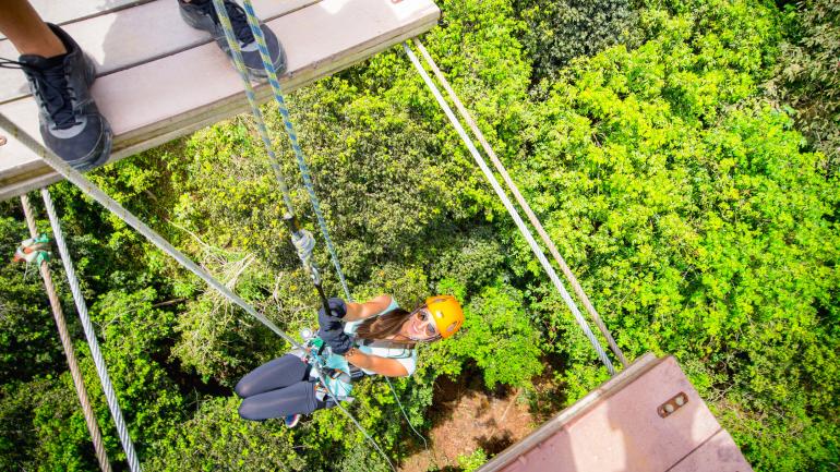 Rappelling down into the tree canopy on “The Wild Bull” Rappelling down into the tree canopy on “The Wild Bull”