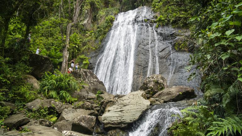 La Coca Falls, one of several gorgeous cascades in El Yunque National Forest La Coca Falls, one of several gorgeous cascades in El Yunque National Forest