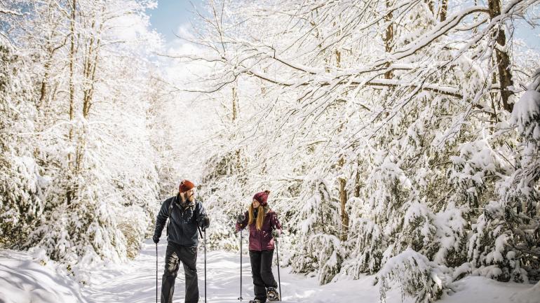 Cross-country skiing in Canaan Valley Cross-country skiing in Canaan Valley