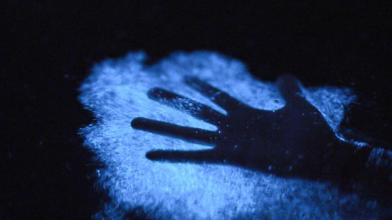 The magical bioluminescence of Mosquito Bay The magical bioluminescence of Mosquito Bay