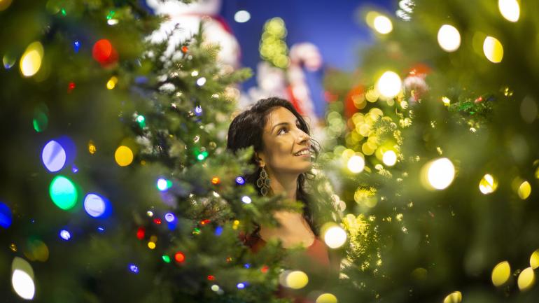 Surrounded by twinkling lights at Bronner’s CHRISTmas Wonderland Surrounded by twinkling lights at Bronner’s CHRISTmas Wonderland