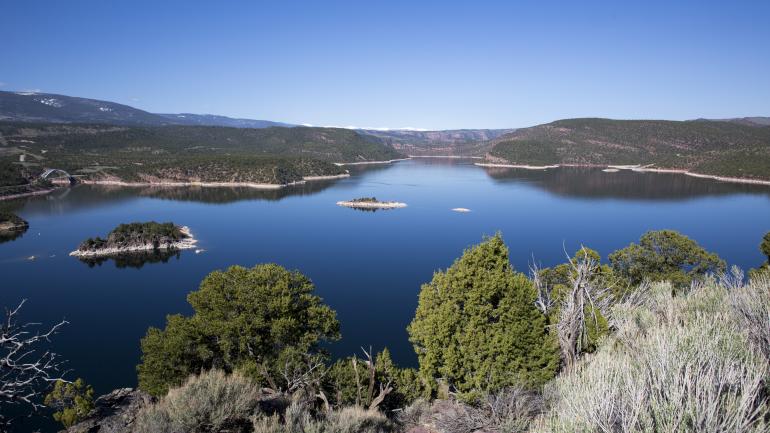 Forested red canyon walls surrounding Flaming Gorge Forested red canyon walls surrounding Flaming Gorge