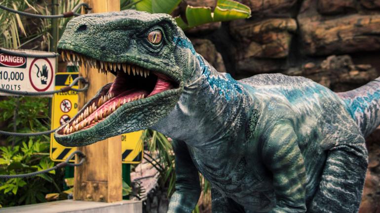 Meet Blue at the Raptor Encounter at Universal Studios Hollywood Meet Blue at the Raptor Encounter at Universal Studios Hollywood