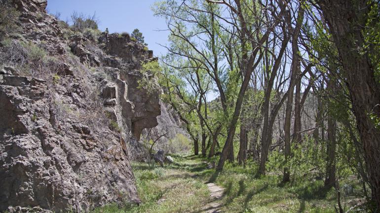 A trail cutting between forest and rock in Beaver Dam State Park A trail cutting between forest and rock in Beaver Dam State Park