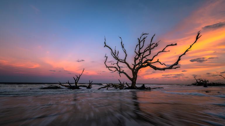 Sunrise over Driftwood Beach on Jekyll Island, Georgia Sunrise over Driftwood Beach on Jekyll Island, Georgia
