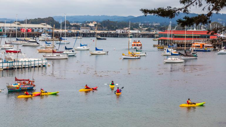 Kayakers paddling among sailboats in Monterey Bay Kayakers paddling among sailboats in Monterey Bay