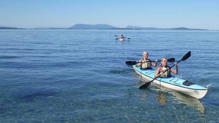 A beautiful day for exploring and wildlife watching in the San Juan Islands A beautiful day for exploring and wildlife watching in the San Juan Islands