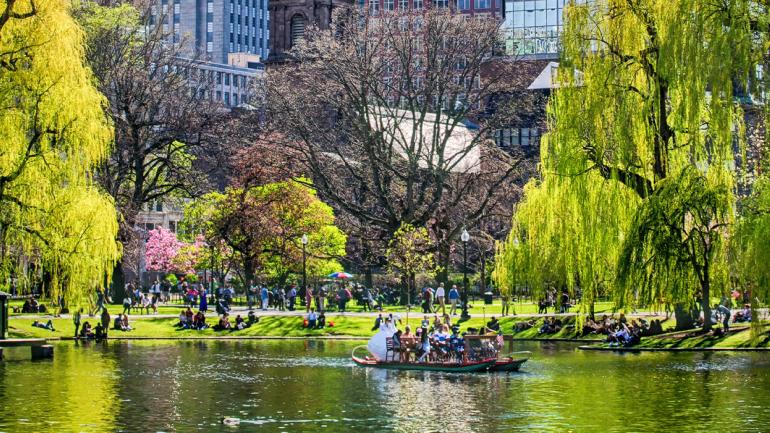 A swan boat in Boston Public Garden in Massachusetts A swan boat in Boston Public Garden in Massachusetts