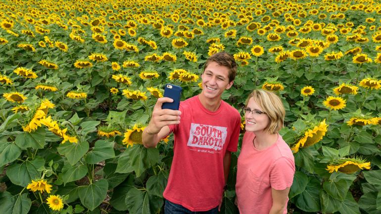 Posing with a field of sunflowers in South Dakota Posing with a field of sunflowers in South Dakota