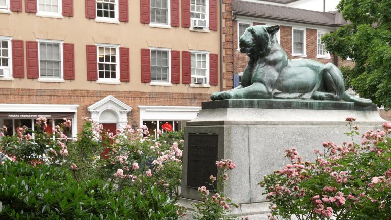 A bronze tiger sculpture in Palmer Square in Princeton, New Jersey A bronze tiger sculpture in Palmer Square in Princeton, New Jersey