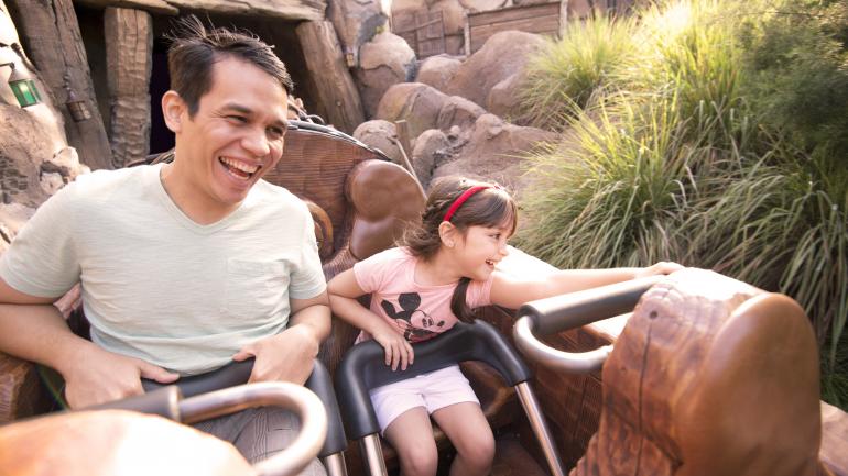 Seven Dwarfs Mine Train Seven Dwarfs Mine Train