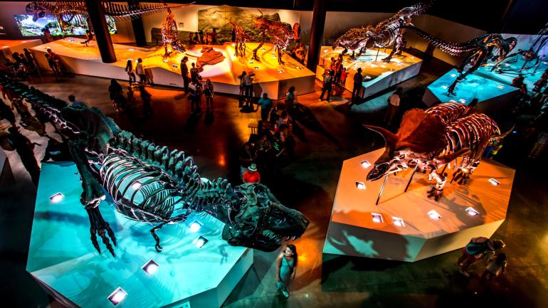 The Morian Hall of Paleontology at the Houston Museum of Natural Science The Morian Hall of Paleontology at the Houston Museum of Natural Science