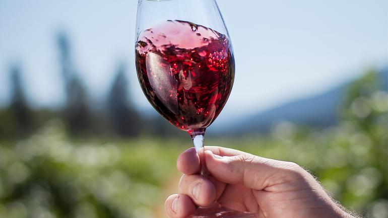 Sampling red wine from a Medford vineyard Sampling red wine from a Medford vineyard