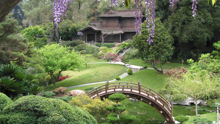 Serene vistas at The Huntington’s Botanical Gardens Serene vistas at The Huntington’s Botanical Gardens