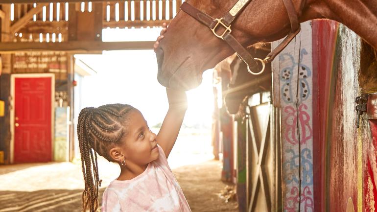 Fille caressant un cheval dans l’un des haras emblématiques du Kentucky Fille caressant un cheval dans l’un des haras emblématiques du Kentucky