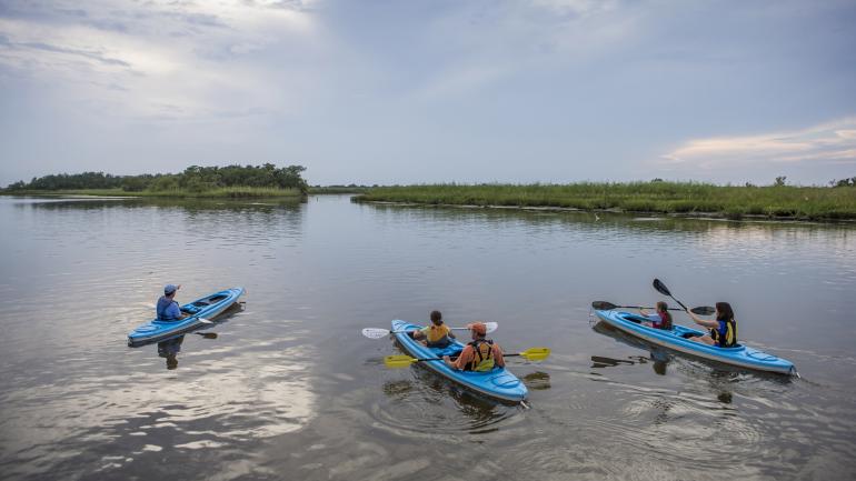 Kayakers paddling in the Mobile-Tensaw Delta in Alabama Kayakers paddling in the Mobile-Tensaw Delta in Alabama