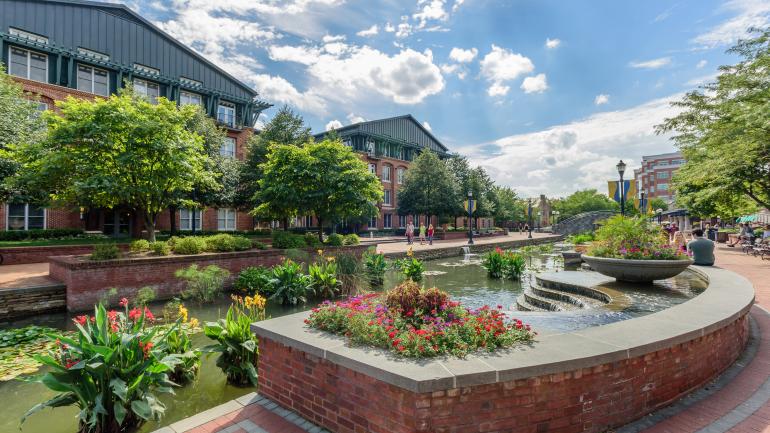 Flowers blooming around Carroll Creek Park in downtown Frederick, Maryland Flowers blooming around Carroll Creek Park in downtown Frederick, Maryland
