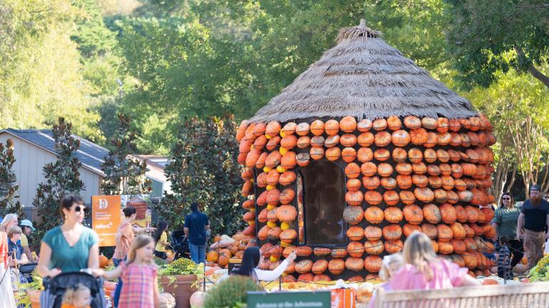 Exploring the Pumpkin Village at the Dallas Arboretum and Botanical Garden Exploring the Pumpkin Village at the Dallas Arboretum and Botanical Garden