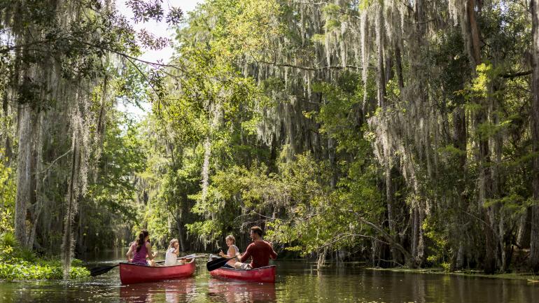 Canoeing beneath moss-draped trees in the Central Florida Everglades Canoeing beneath moss-draped trees in the Central Florida Everglades