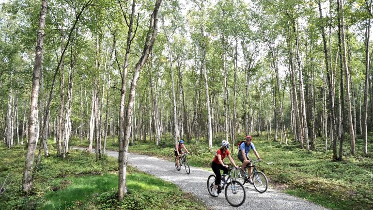 Group biking along a gentle, wooded trail in Anchorage, Alaska Group biking along a gentle, wooded trail in Anchorage, Alaska