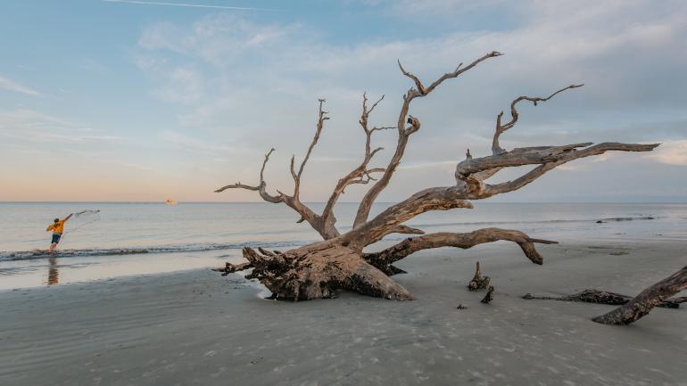 A serene scene on Jekyll Island’s Driftwood Beach A serene scene on Jekyll Island’s Driftwood Beach