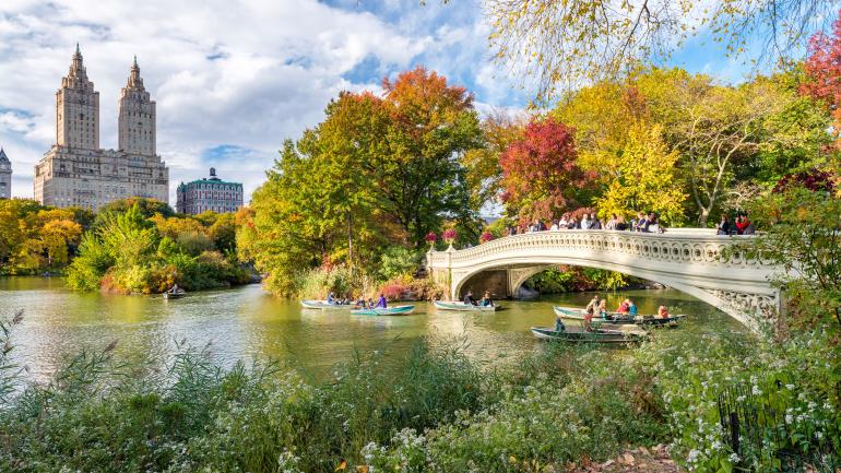 Bow Bridge, a favorite view for picnickers in Central Park Bow Bridge, a favorite view for picnickers in Central Park