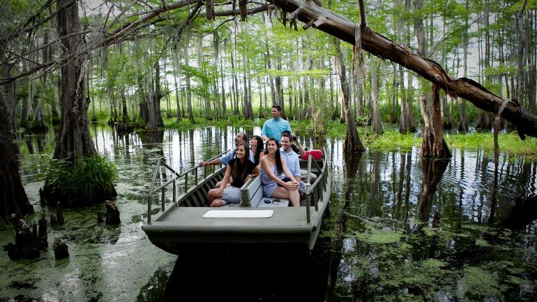 Recorrido en bote por el Honey Island Swamp en Slidell Recorrido en bote por el Honey Island Swamp en Slidell