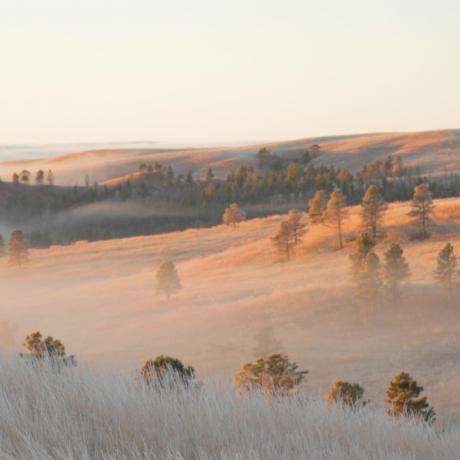 Fog over the rolling hills of South Dakota