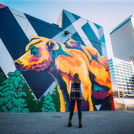 Wall mural street art in Denver, Colorado