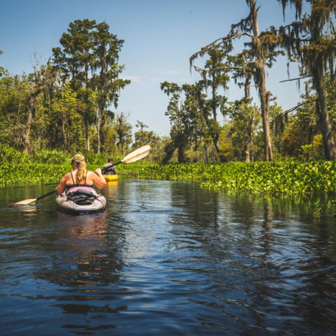 On a kayaking tour near New Orleans, Louisiana