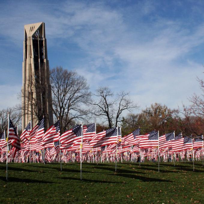 American flags displayed in front of the Moser Tower for the Naperville Healing Field of Honor American flags displayed in front of the Moser Tower for the Naperville Healing Field of Honor