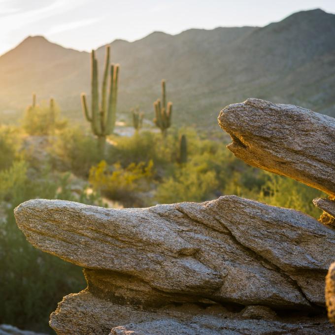 South Mountain Park in Phoenix is the largest city park in the nation. South Mountain Park in Phoenix is the largest city park in the nation.