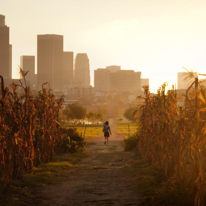 ロサンゼルスの本来の正式名は、「ポルシウンクラ川の天使の女王の街」(El Pueblo de Nuestra Senora Reina de los Angeles sobre el Rio Porciuncula)でした。 ロサンゼルスの本来の正式名は、「ポルシウンクラ川の天使の女王の街」(El Pueblo de Nuestra Senora Reina de los Angeles sobre el Rio Porciuncula)でした。