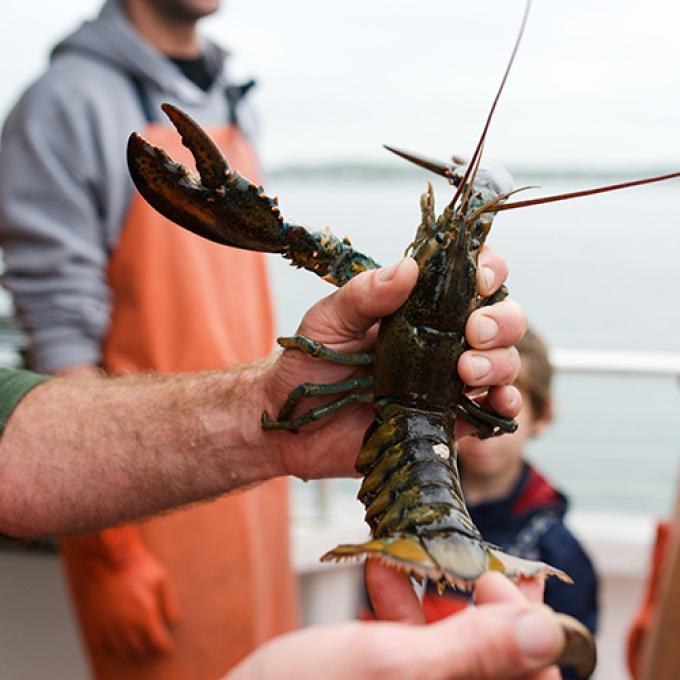 Maine Fun Fact Maine Fun Fact