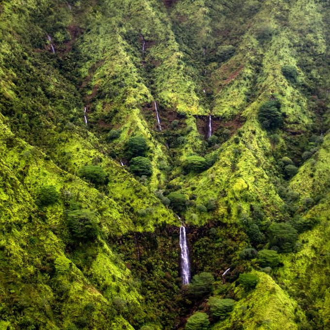 Kauai's Mount Waialeale is the wettest spot on earth, averaging 1,143 cm of rain per year. Kauai's Mount Waialeale is the wettest spot on earth, averaging 1,143 cm of rain per year.
