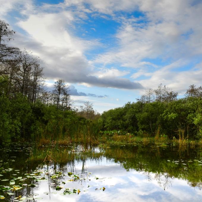 Miami is the only U.S. city surrounded by two national parks: Biscayne National Park and Everglades National Park. Miami is the only U.S. city surrounded by two national parks: Biscayne National Park and Everglades National Park.
