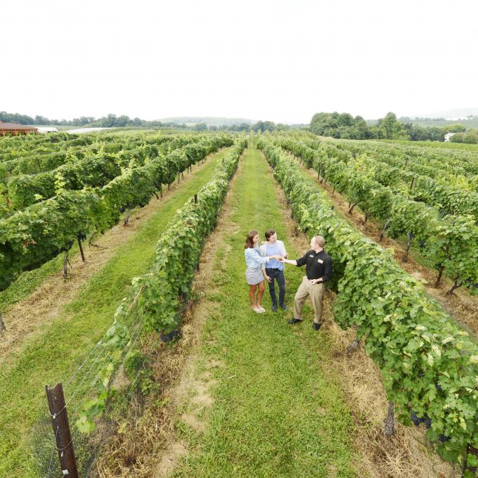 Not just a battlefield: There are more than a dozen wineries, distilleries and breweries around Gettysburg that are open to the public. Not just a battlefield: There are more than a dozen wineries, distilleries and breweries around Gettysburg that are open to the public.