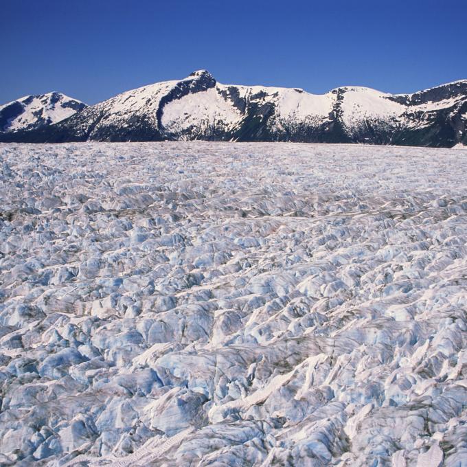Taku Glacier, the world's thickest glacier, near Juneau, Alaska Taku Glacier, the world's thickest glacier, near Juneau, Alaska