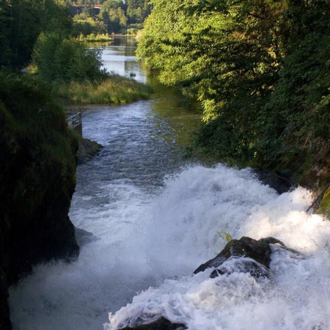 Water cascading into a stream in Olympia, Washington Water cascading into a stream in Olympia, Washington