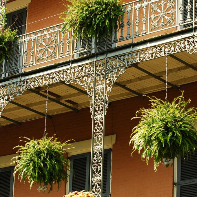 Hanging plants and classic details in the French Quarter Hanging plants and classic details in the French Quarter