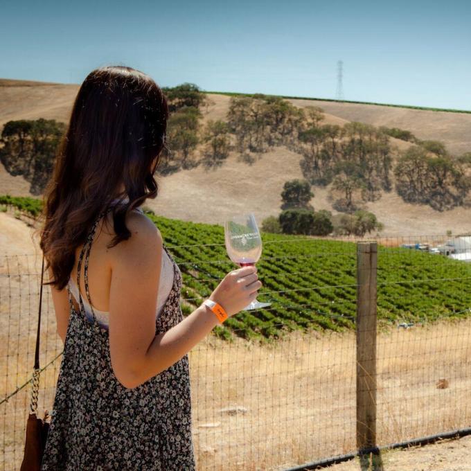 在利弗莫尔谷(Livermore Valley)边啜饮葡萄酒边欣赏美景 在利弗莫尔谷(Livermore Valley)边啜饮葡萄酒边欣赏美景