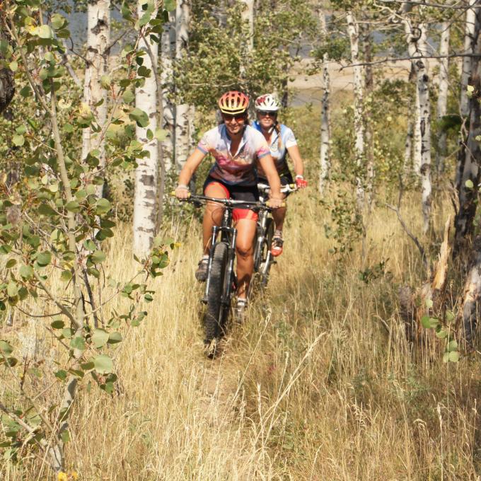 Mountain biking in one of the national forests surrounding West Yellowstone, Montana Mountain biking in one of the national forests surrounding West Yellowstone, Montana