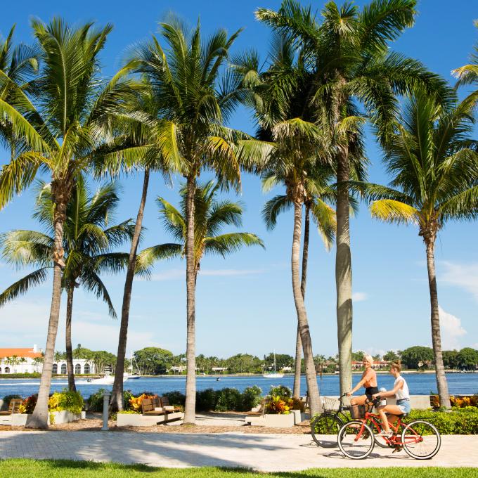 Palm trees lining the waterfront in Palm Beach Palm trees lining the waterfront in Palm Beach