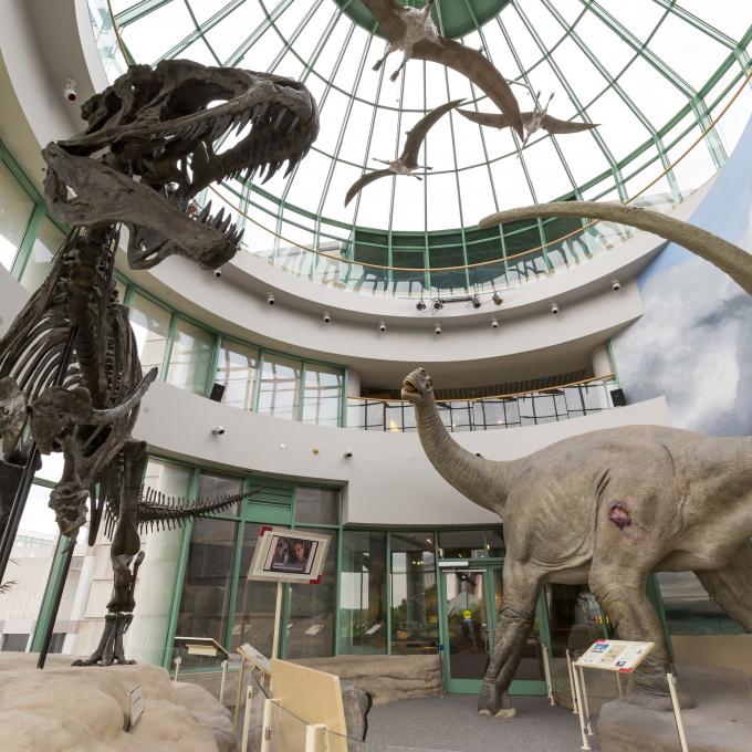 Inside the North Carolina Museum of Natural Sciences in Raleigh Inside the North Carolina Museum of Natural Sciences in Raleigh