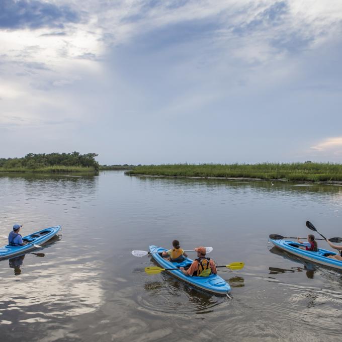 Kayaking in the Mobile-Tensaw Delta in Alabama Kayaking in the Mobile-Tensaw Delta in Alabama